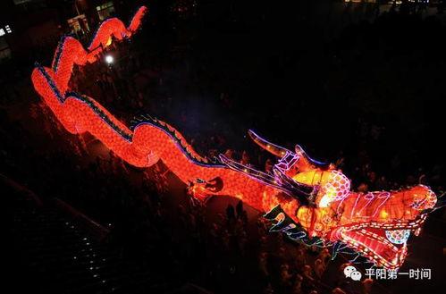 大龙视频,揭秘生活百态，畅享视觉盛宴