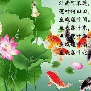 江南可采莲视频,探寻古韵新声的采莲之美