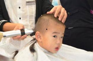 小宝宝理发视频大全,萌娃剃头全过程大盘点