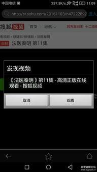 手机版五大vip视频软件,畅享影视盛宴的必备神器